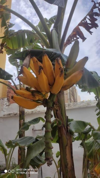 Precioso Apartamento Con A/A En Ruzafa Con Terracita Privada Y Acceso A Un Jardin, Para 2-3 Personas Valenza Esterno foto